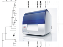 ISSR-PCR typing using QIAxcel