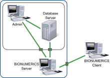 BIONUMERICS Server scheme